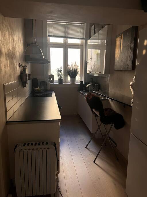 Royal Neighbourhood Elegant Flat In Central 오슬로 외부 사진