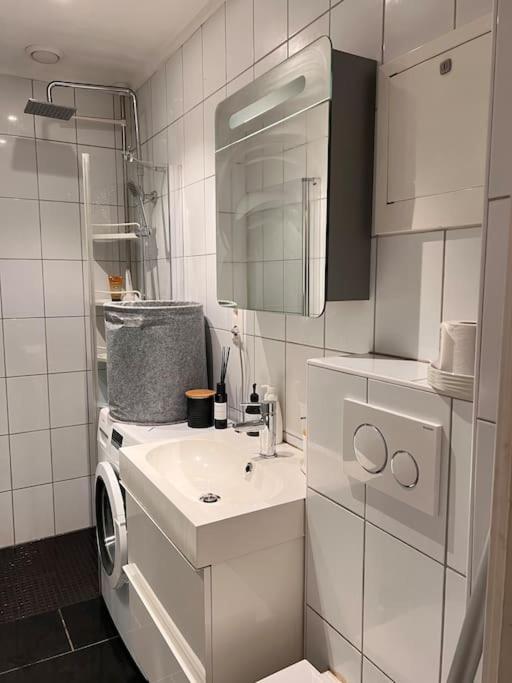 Royal Neighbourhood Elegant Flat In Central 오슬로 외부 사진